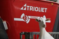 Triomatic T30, Automatic feeding system