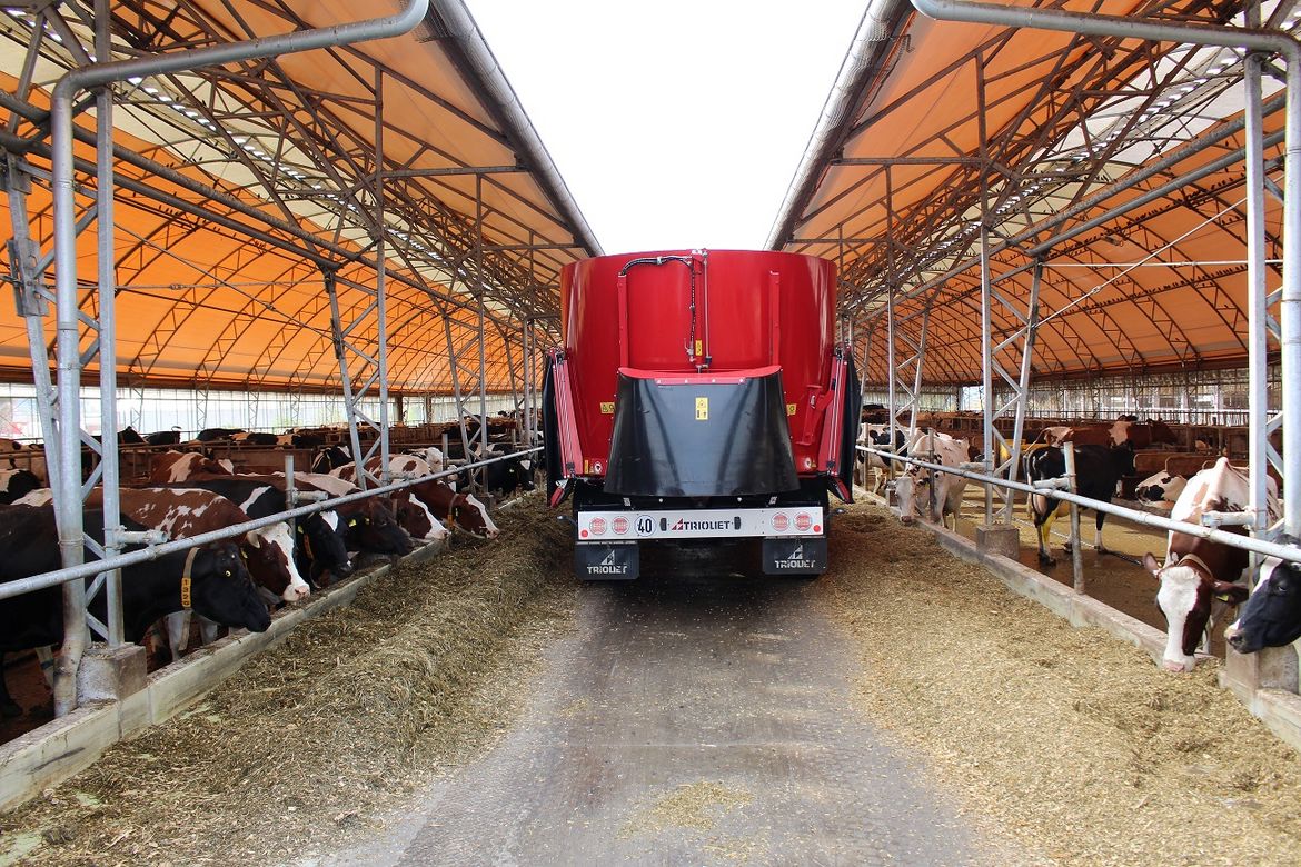 Used-feed-wagon-and-selfpropeller-with-conveyor-belt-for-dairy-farmers