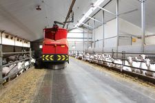 Triomatic T30, Automatic feeding system