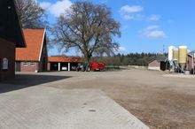 farm yard-dairy farm