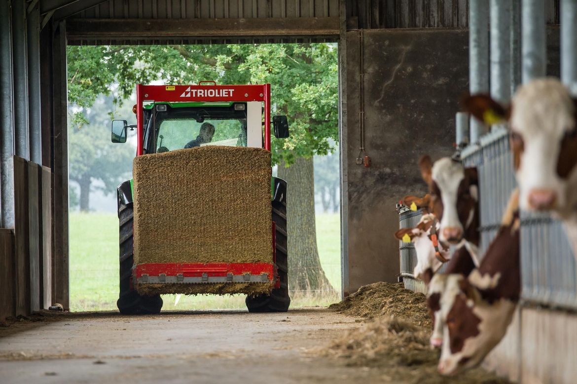 Discover-this-silage-distributor-for-dairy-farmers-in-the-agricultural-business