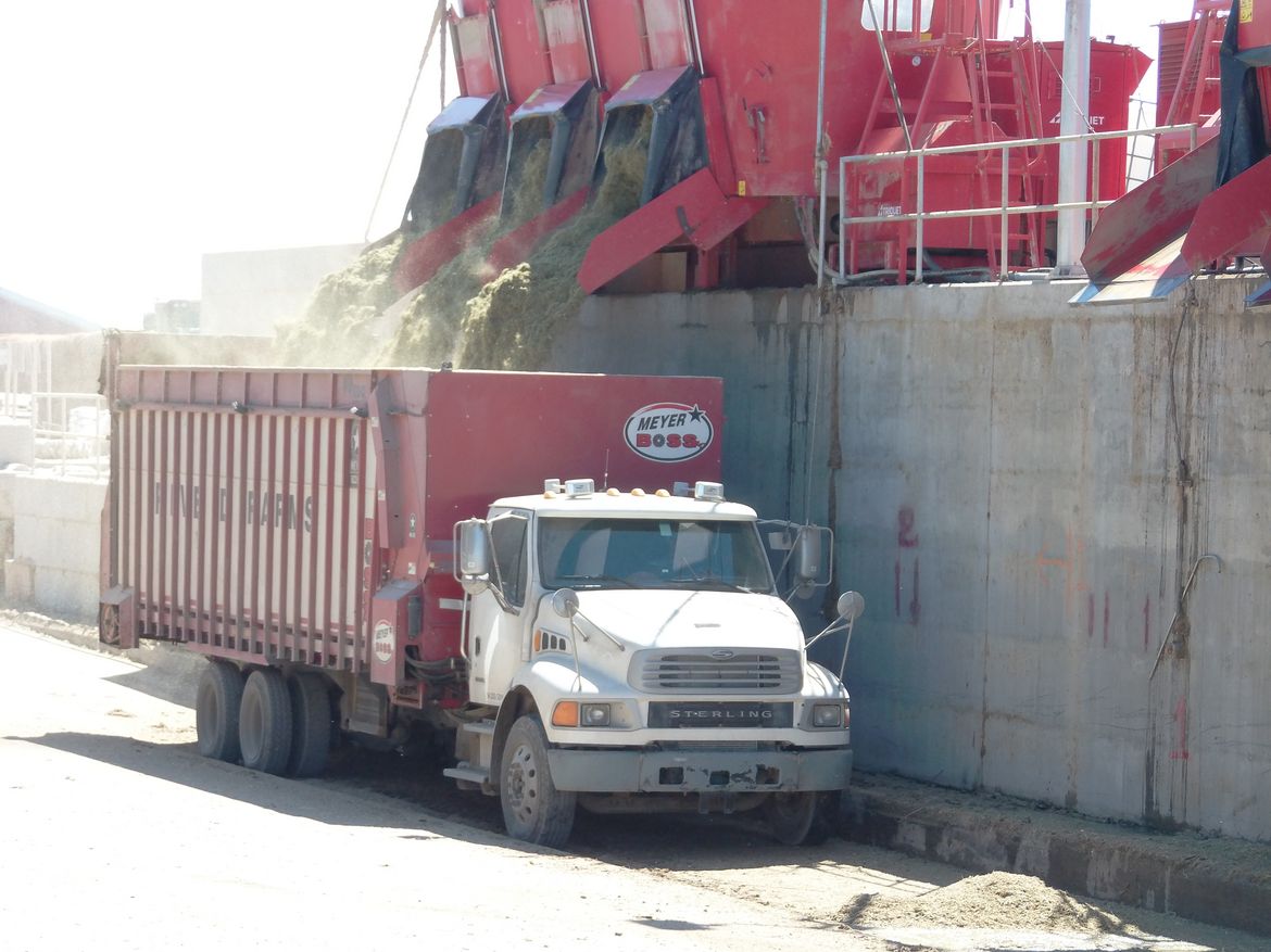 A-stationary-TMR-mixer-for-silage-is-to-feed-cattle