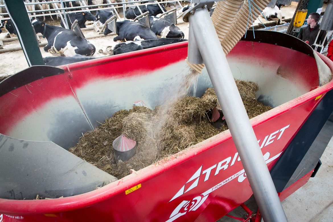 Find-an-automatic-feeder-with-vertical-mixing-augers-for-beef-farmers.