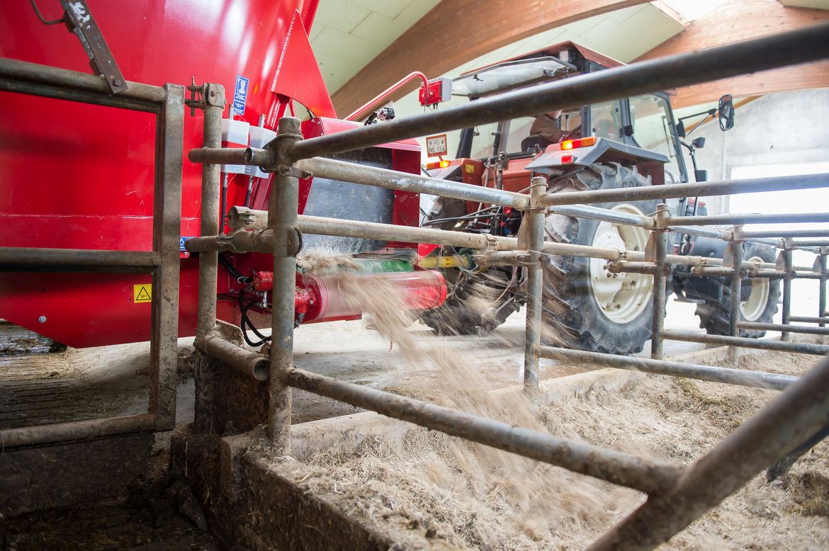 Use-a-spreading-roller-with-your-TMR-mixer-to-feed-livestock