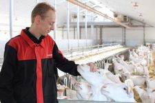 Triomatic T30, automatic feeding system